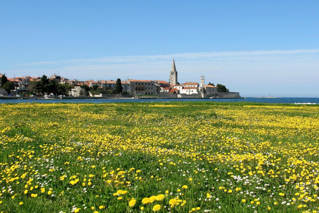 Villa Vita In Porec - Haus Fuer 6-8 Personen Kastelir Luaran gambar